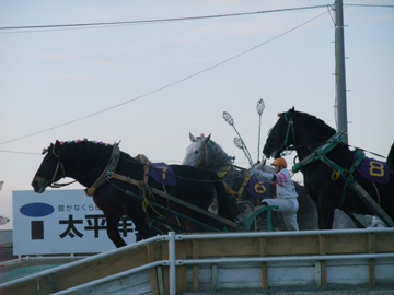 DSCF7855.JPG