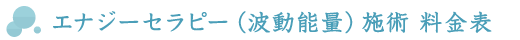 エナジーセラピー（波動能量）施術 料金表